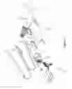 Fig. 02 - PROSTHETIC LIMBS