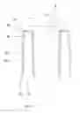 Fig. 04 - Holding structure for concurrently holding a plurality of containers for substances for pharmaceutical, medical or cosmetic applications, transport structure and transport or packaging container comprising the same