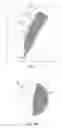 Fig. 09 - Comestible capsule and method and apparatus for manufacturing same