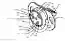 Fig. 01 - Aromatic pacifier assembly