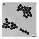Fig. 01 - Particulate coated hydrogel microparticles
