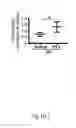 Fig. 06 - METHOD AND KIT FOR MYOCARDIAL REPERFUSION, AND METHOD FOR ATTENUATING OR REDUCING MYOCARDIAL REPERFUSION INJURY