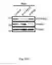 Fig. 12 - METHOD AND KIT FOR MYOCARDIAL REPERFUSION, AND METHOD FOR ATTENUATING OR REDUCING MYOCARDIAL REPERFUSION INJURY