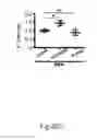 Fig. 14 - METHOD AND KIT FOR MYOCARDIAL REPERFUSION, AND METHOD FOR ATTENUATING OR REDUCING MYOCARDIAL REPERFUSION INJURY