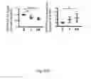Fig. 19 - METHOD AND KIT FOR MYOCARDIAL REPERFUSION, AND METHOD FOR ATTENUATING OR REDUCING MYOCARDIAL REPERFUSION INJURY
