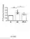 Fig. 32 - METHOD AND KIT FOR MYOCARDIAL REPERFUSION, AND METHOD FOR ATTENUATING OR REDUCING MYOCARDIAL REPERFUSION INJURY