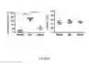 Fig. 37 - METHOD AND KIT FOR MYOCARDIAL REPERFUSION, AND METHOD FOR ATTENUATING OR REDUCING MYOCARDIAL REPERFUSION INJURY