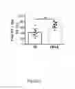 Fig. 40 - METHOD AND KIT FOR MYOCARDIAL REPERFUSION, AND METHOD FOR ATTENUATING OR REDUCING MYOCARDIAL REPERFUSION INJURY
