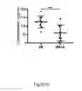 Fig. 43 - METHOD AND KIT FOR MYOCARDIAL REPERFUSION, AND METHOD FOR ATTENUATING OR REDUCING MYOCARDIAL REPERFUSION INJURY