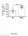 Fig. 45 - METHOD AND KIT FOR MYOCARDIAL REPERFUSION, AND METHOD FOR ATTENUATING OR REDUCING MYOCARDIAL REPERFUSION INJURY