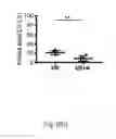 Fig. 47 - METHOD AND KIT FOR MYOCARDIAL REPERFUSION, AND METHOD FOR ATTENUATING OR REDUCING MYOCARDIAL REPERFUSION INJURY