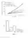 Fig. 08 - Combination comprising N-acetyl-L-cysteine and its use