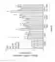 Fig. 10 - Combination comprising N-acetyl-L-cysteine and its use
