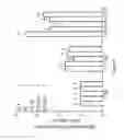 Fig. 11 - Combination comprising N-acetyl-L-cysteine and its use