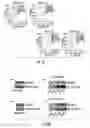 Fig. 07 - HISTONE DEACETYLASE AS A MODULATOR OF PDLI EXPRESSION AND ACTIVITY