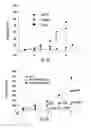 Fig. 09 - HISTONE DEACETYLASE AS A MODULATOR OF PDLI EXPRESSION AND ACTIVITY
