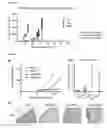 Fig. 06 - Methods for treating PTEN deficient epithelial cancers using a combination of anti-PI3KBETA and anti-immune checkpoint agents