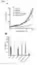 Fig. 07 - Methods for treating PTEN deficient epithelial cancers using a combination of anti-PI3KBETA and anti-immune checkpoint agents