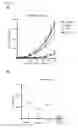 Fig. 09 - Methods for treating PTEN deficient epithelial cancers using a combination of anti-PI3KBETA and anti-immune checkpoint agents