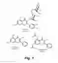 Fig. 02 - App specific BACE inhibitors (ASBIs) and uses thereof