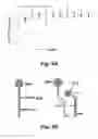 Fig. 04 - App specific BACE inhibitors (ASBIs) and uses thereof