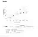 Fig. 02 - METHODS AND PHARMACEUTICAL COMPOSITIONS COMPRISING A SGLT2 INHIBITOR FOR TREATING OR IMPROVING ERECTILE DYSFUNCTION