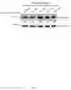 Fig. 08 - Methods for the use of 5′-adenosine diphosphate ribose (ADPR)