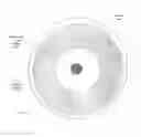 Fig. 08 - Spray dried human plasma