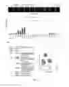 Fig. 06 - LIVER ORGANOID COMPOSITIONS AND METHODS OF MAKING AND USING SAME