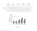 Fig. 09 - LIVER ORGANOID COMPOSITIONS AND METHODS OF MAKING AND USING SAME