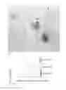 Fig. 06 - Methods and compositions for treating inflammatory skin disease with recombinant microorganisms