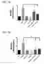 Fig. 02 - Small peptide compositions and uses thereof