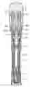 Fig. 01 - Manual injection device