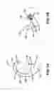 Fig. 02 - Personalizable system and method for anesthetizing the tympanic membrane