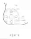 Fig. 09 - Medication dispenser