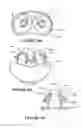 Fig. 28 - Breathing assistance apparatus
