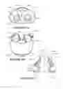 Fig. 35 - Breathing assistance apparatus