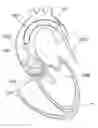 Fig. 01 - Radiopaque outer cuff for transcatheter valve