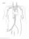 Fig. 09 - INTRODUCER SHEATH FOR VASCULAR ACCESS