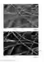 Fig. 05 - Filter medium, method for producing same, and use of the filter medium in a filter element