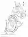 Fig. 45 - Razor handle with a pivoting portion