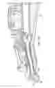 Fig. 52 - Razor handle with a pivoting portion