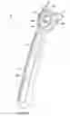 Fig. 19 - Razor handle with movable members and a benefit delivery system