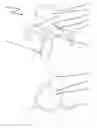 Fig. 02 - Hamburger templet slicer device and method for cutting a hamburger