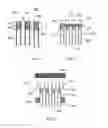 Fig. 03 - System and methods of plugging ceramic honeycomb bodies