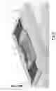 Fig. 09 - Foam and method of forming foam