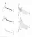 Fig. 03 - Additive manufacturing system using interlinked repeating subunits