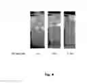 Fig. 05 - Tubular container with invisible longitudinal overlapped side seam