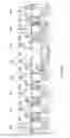 Fig. 04 - SHEET-FED PRINTING PRESS