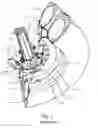 Fig. 02 - INTERNAL FIXING SET FOR A TIRE PRESSURE AUTOMATIC CALIBRATOR